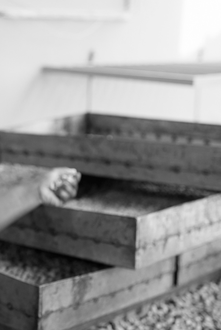 fond-noir-et-blanc-photo