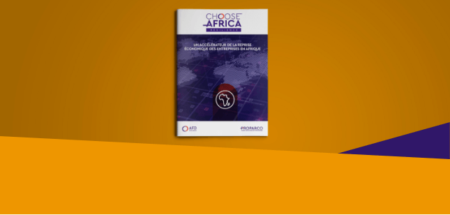 tuile-2-section-2 copy